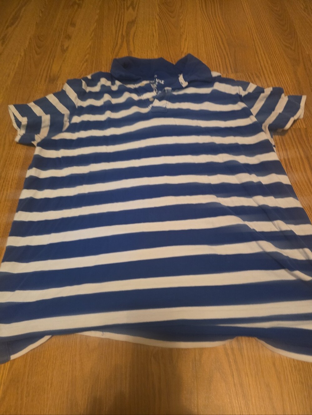 Blue & White Striped Polo Shirt for Men